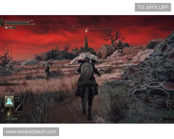 云顶游戏ID充值平台推荐与安全指南,保障您的资金安全 云顶游戏ID充值平台推荐与安全指南,保障您的资金安全