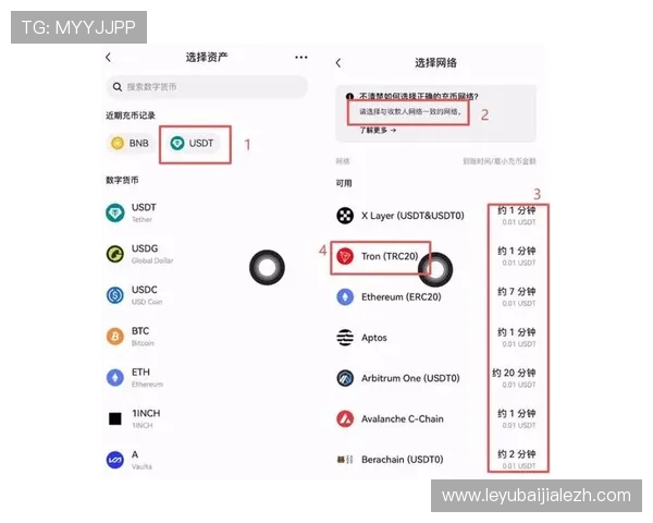 如何在AG币游国际官网上快速充值提现实现收益最大化