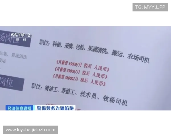 百家乐必赢公式揭秘,掌握这些技巧让你轻松赢取更多筹码