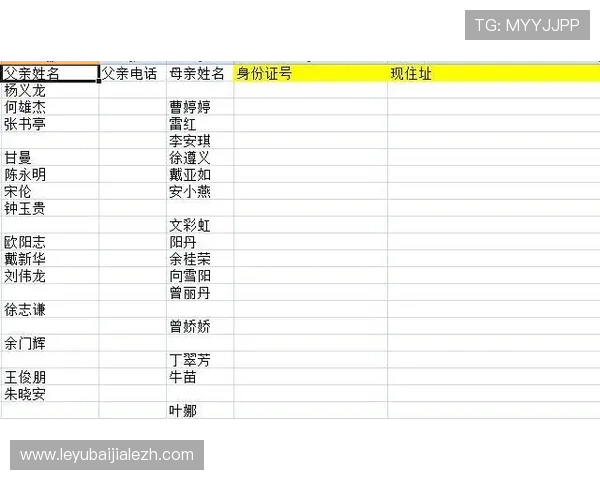 世界杯Excel赛程表完整版免费获取,包含比赛时间、场馆信息及实时更新功能,提升观赛体验